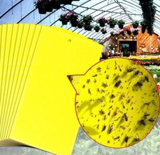 20x Yellow Sticky Fly Trap Bug Insect Catcher Trap Paper Killer Glue Fruit Flies