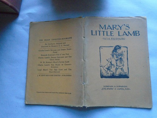 Mary little lamb - mary's,