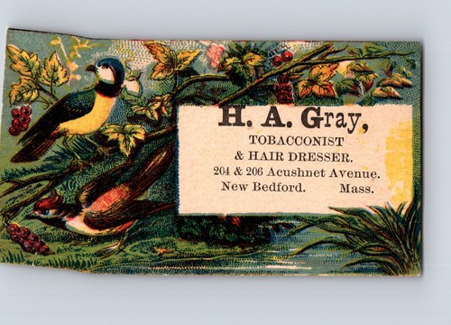 Gray tobacconist hair - ha,