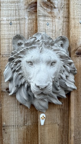 Handmade concrete lion - handmade, head