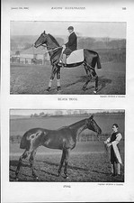 1896 illustration from the