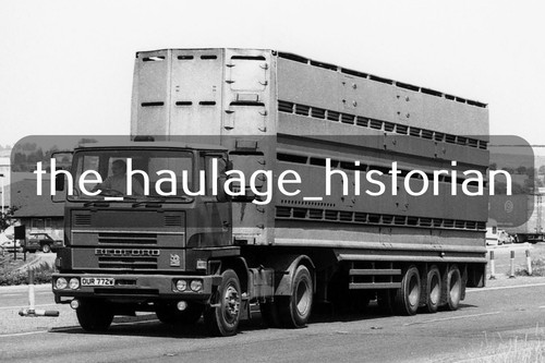 Thh truck photos bedford tm - photos,