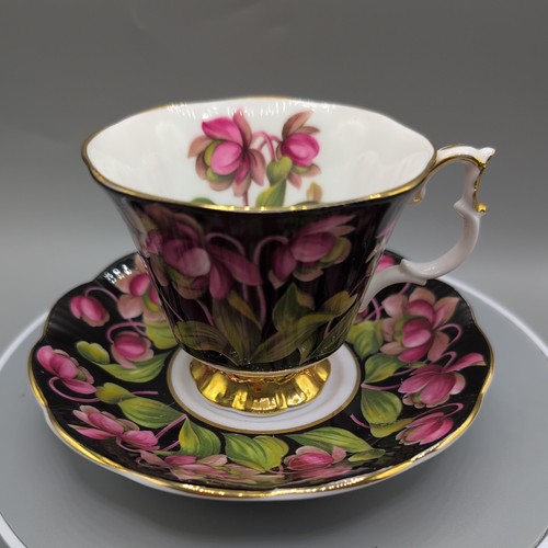 Royal albert provincial - albert,