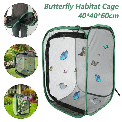 Green collapsible insect - collapsible, cage