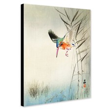 Kingfisher Hunting For Fish by