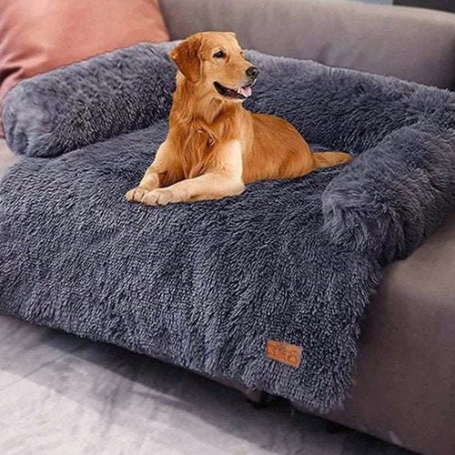 Pet cat dog - cat, soft