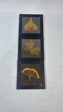 Leaf Lines Coasters Set Of 3