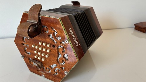 English concertina button - concertina, 30