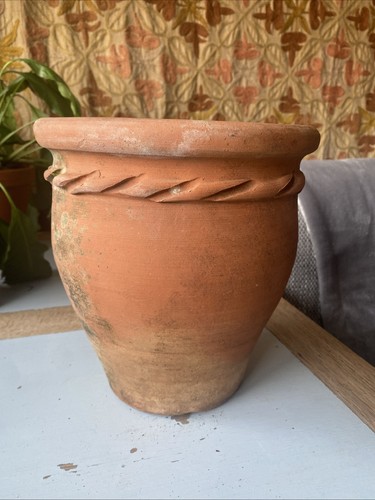 Vintage terracotta plant pots - plant,