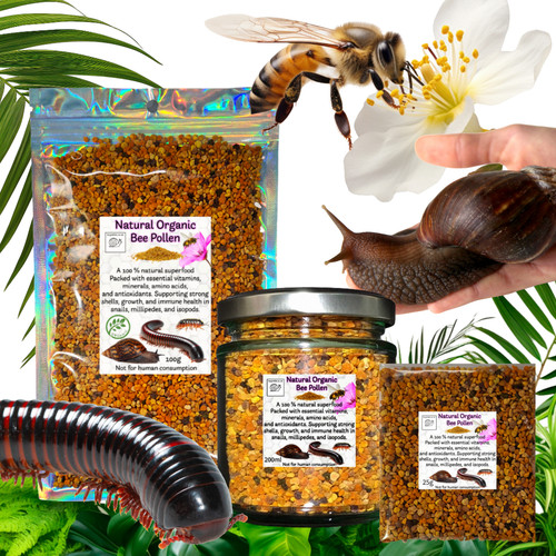 Bee pollen food - food, supplement