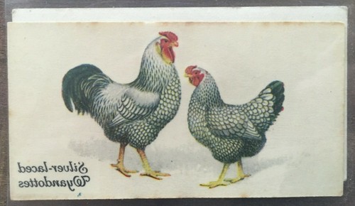John players silver laced - john,