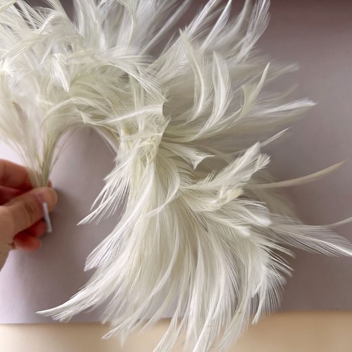 Fascinator hats feathers - fascinator,