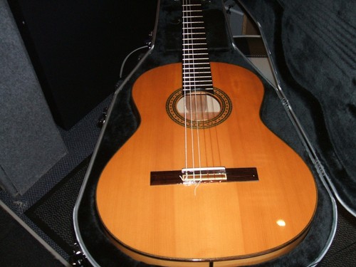 Alhambra flamenco guitar - alhambra,