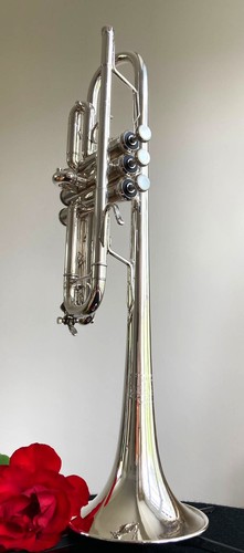 Bach stradivarius c180l - c180l, 229