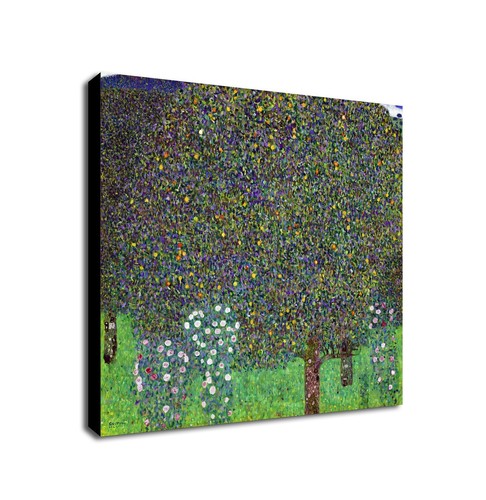 Rosebushes under the - the, trees