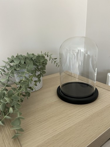 Clear glass display dome - clear,