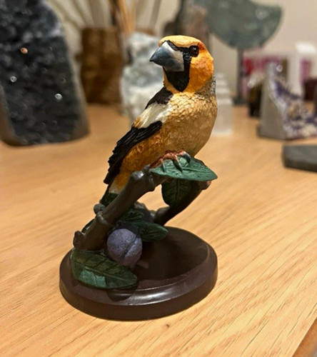 The country bird collection - the,