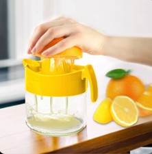 Glass Fruit Juicer Lemon Lime