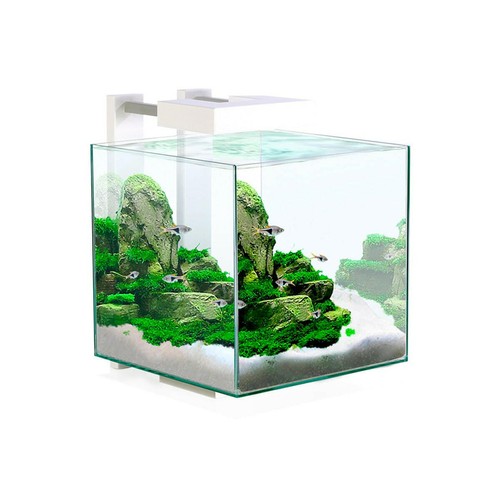 Ciano nexus pure aquarium - nexus, 15