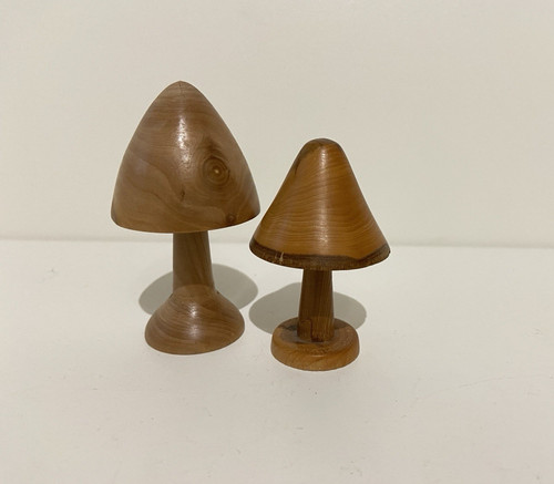Wooden mushrooms toadstools - mushrooms,