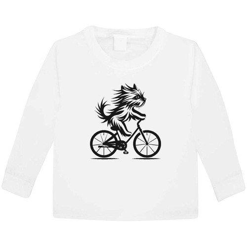 Yorkshire terrier riding - 'yorkshire,