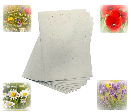 Seeded craft paper - seeded,