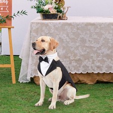 Dog Tuxedo Costume with Collar