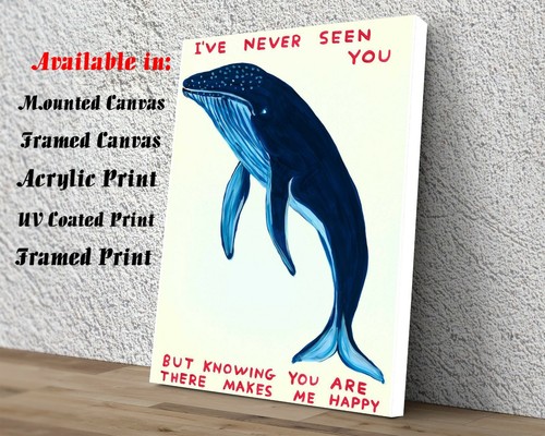 David shrigley never seen art - david,