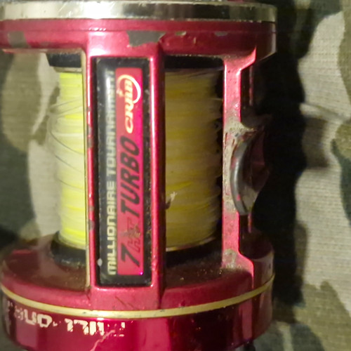Daiwa millionaire tournament - millionaire,