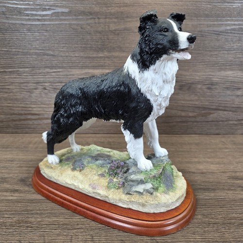 Border fine arts - arts, collie