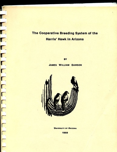 1988 thesis arizona - 1988,