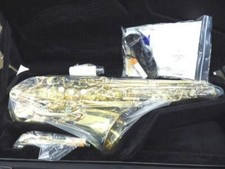 YANAGISAWA A-WO1 Alto Saxophone Bronze Brass with Case Made in Japan new unused