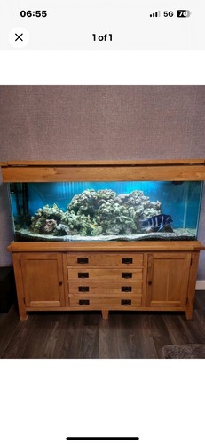 Aquaoak 180cm glass aquarium - aquaoak,