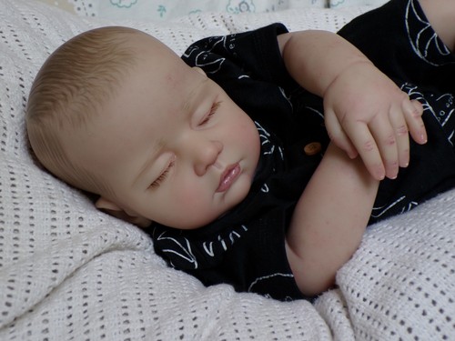 Reborn baby boy doll zane - doll,