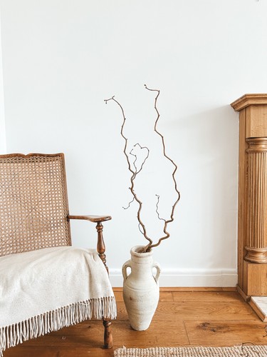 Twisted hazel branch - twisted,