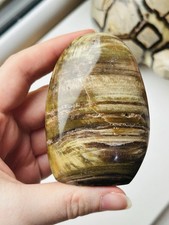 Madagascar Petrified Wood