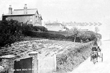 Xqq-2 Pony & Trap, New Road, Brading, Isle Of Wight. Photo