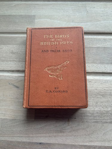 The birds - birds,