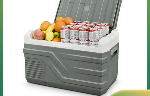 Car refrigerator 12v - car,