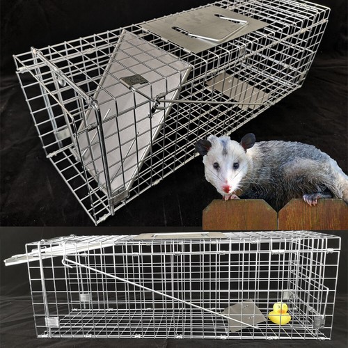 Humane animal trap - animal, for