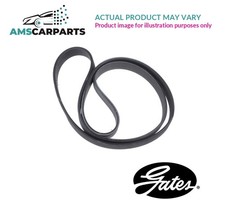 DRIVE BELT MICRO-V MULTI RIBBED BELT 6486EXL GATES NEW OE REPLACEMENT