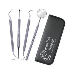 DENTIST SCALER INSTRUMENTS