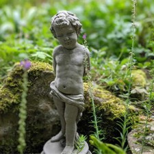 Sweet vine boy garden - boy,