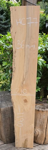Spalted chestnut live edge - chestnut,