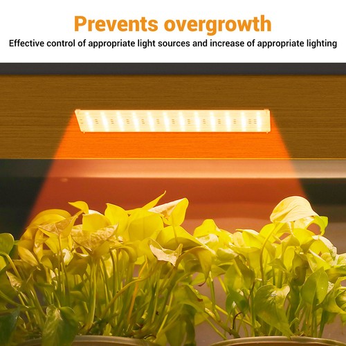 Ultra thin panel - ultra, grow