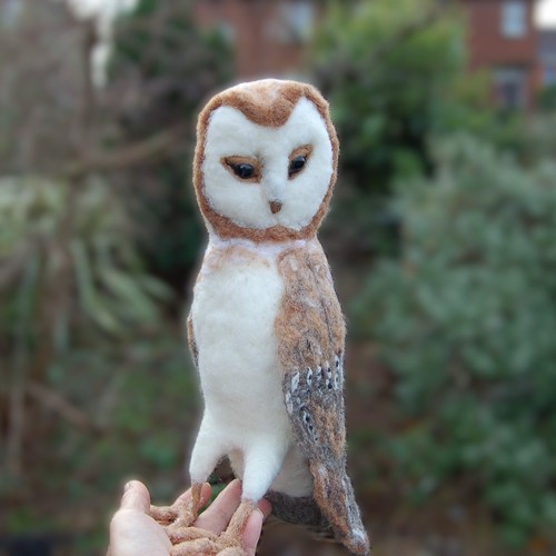 Handmade barn owl - barn,