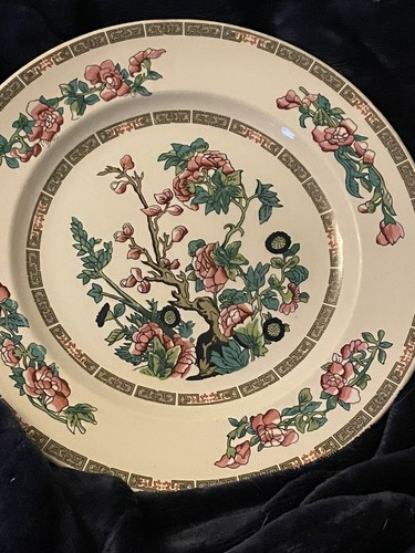 Vintage indian tree ironstone - ,