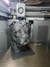 Staffy Staffordshire Bull