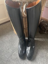 Konig Grangester Dressage