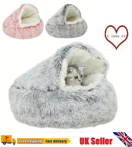Pet dog cat - cat, round
